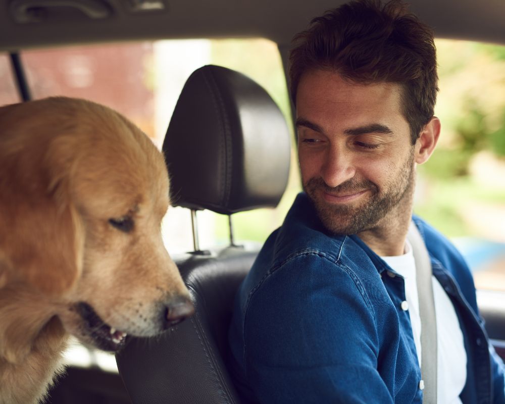 Trusted auto insurance